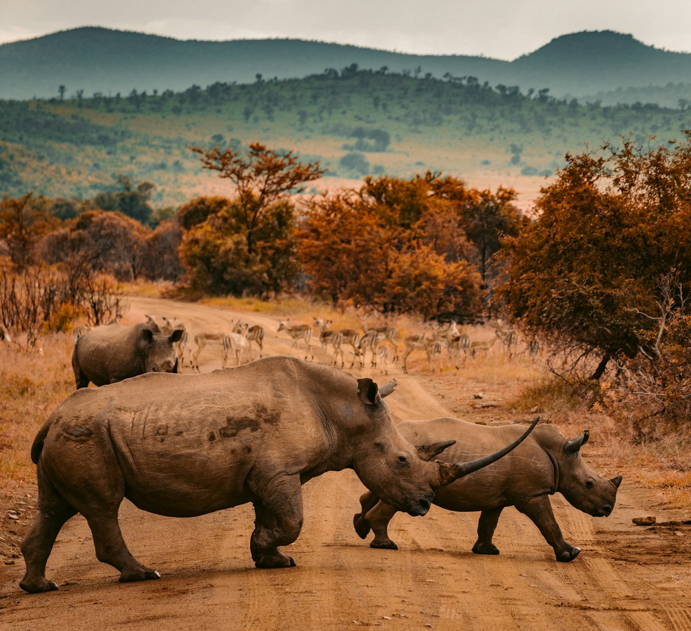 Tanzania travel inspiration